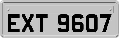 EXT9607
