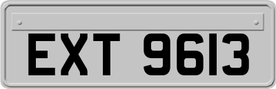 EXT9613