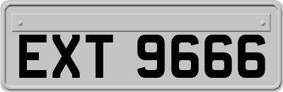 EXT9666