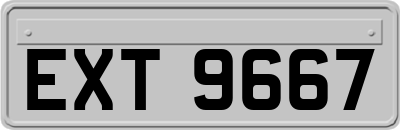 EXT9667