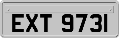 EXT9731