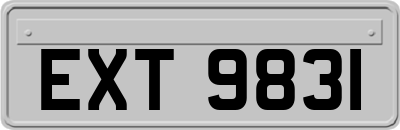EXT9831