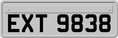 EXT9838