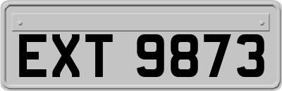 EXT9873