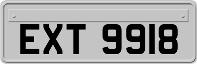 EXT9918
