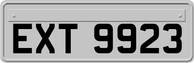 EXT9923