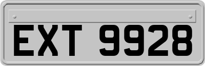 EXT9928