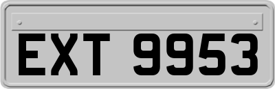 EXT9953