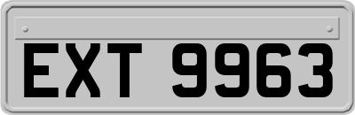 EXT9963