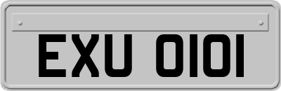 EXU0101