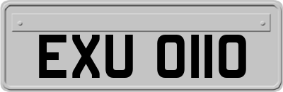 EXU0110