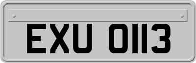 EXU0113