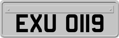 EXU0119