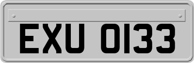 EXU0133