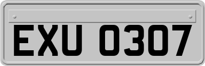 EXU0307