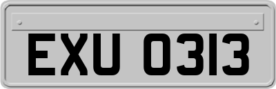 EXU0313