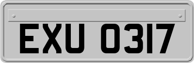 EXU0317