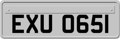 EXU0651