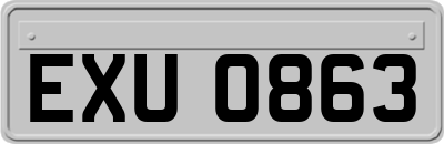 EXU0863