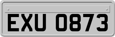 EXU0873