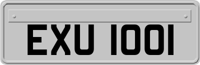 EXU1001