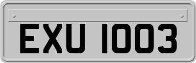 EXU1003