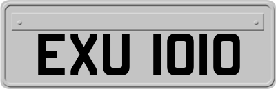 EXU1010