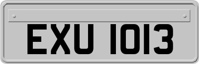 EXU1013