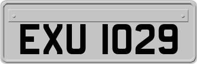 EXU1029