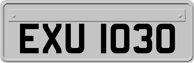 EXU1030