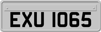 EXU1065