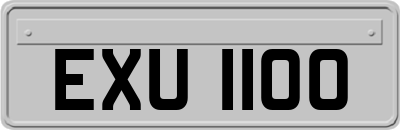EXU1100