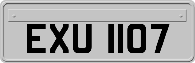 EXU1107