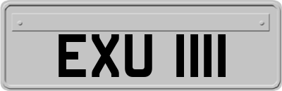 EXU1111