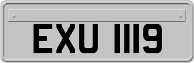 EXU1119