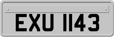 EXU1143