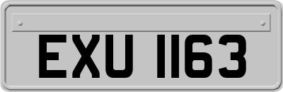 EXU1163