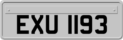 EXU1193