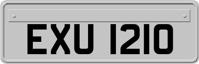 EXU1210