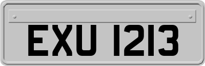 EXU1213