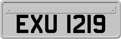 EXU1219