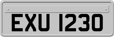 EXU1230