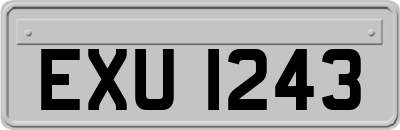 EXU1243