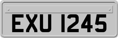 EXU1245