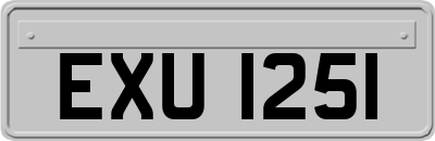 EXU1251