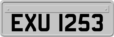EXU1253