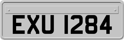 EXU1284