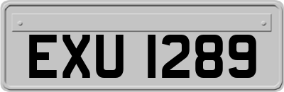 EXU1289