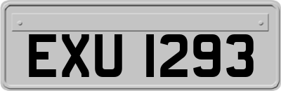 EXU1293