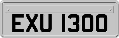 EXU1300